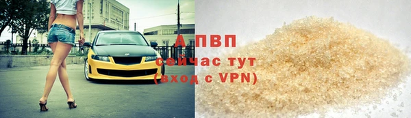эйфоретик Богданович