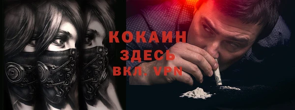 эйфоретик Богданович