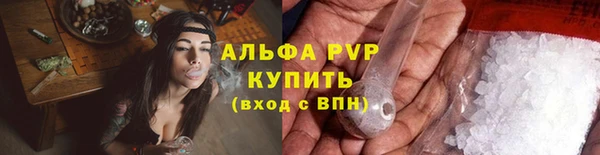 эйфоретик Богданович