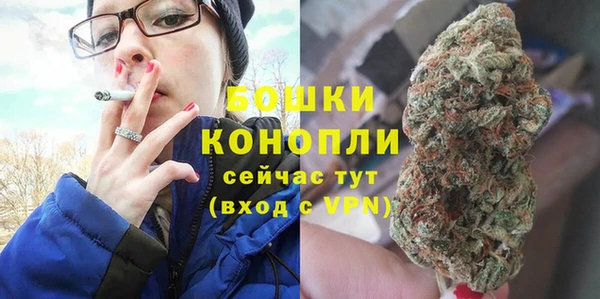 эйфоретик Богданович