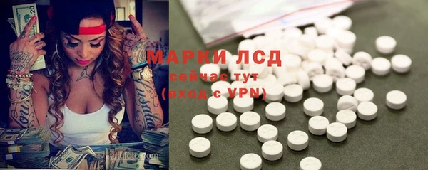 эйфоретик Богданович