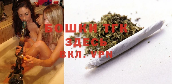 Альфа ПВП Богородицк